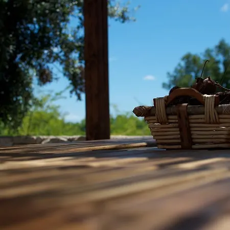 Villa Nana - Modern Villa With A Pool Surrounded By Nature, Istria-Pula Valtura Room photo